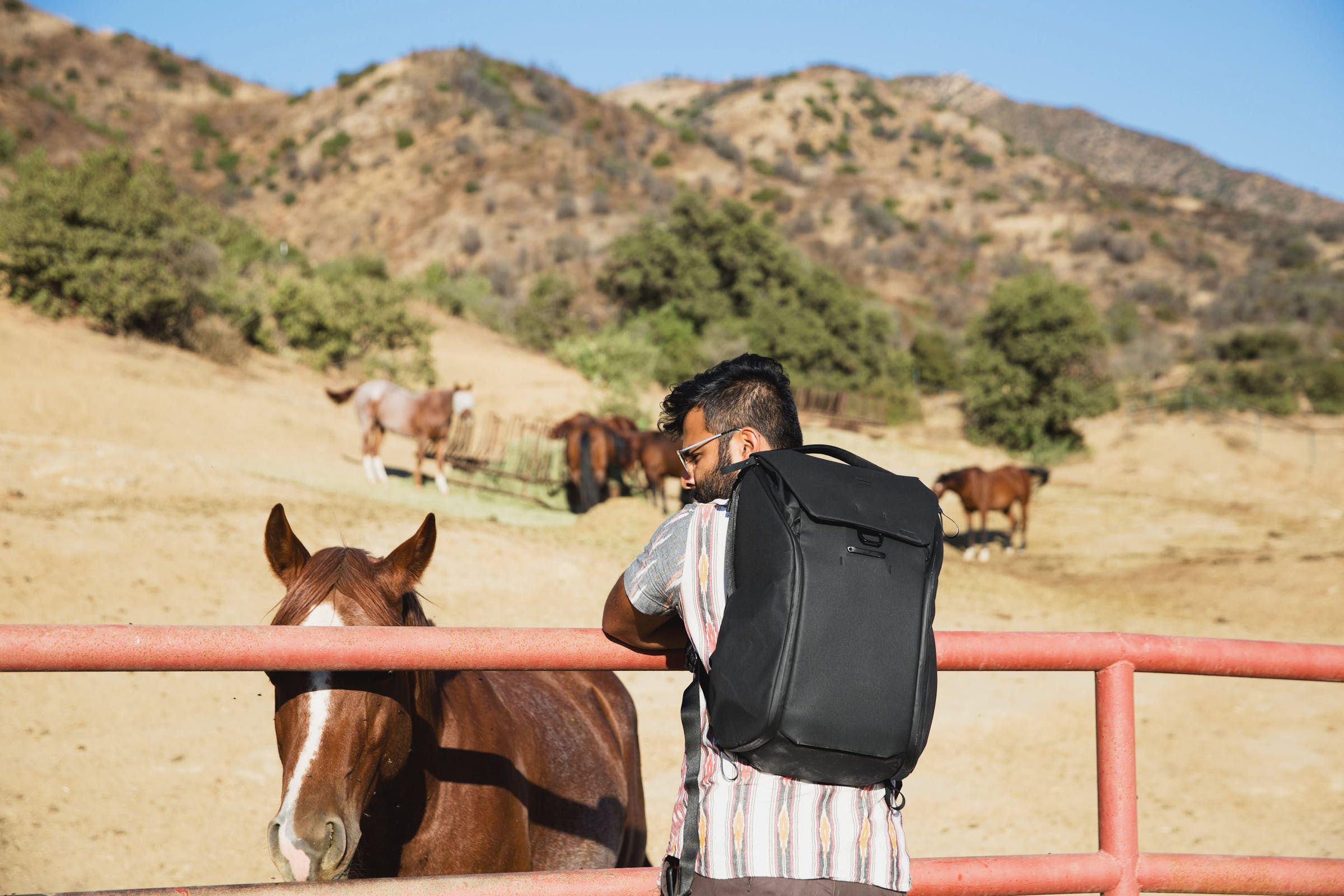 Everyday Backpack 30Litri v2 // Black - Nero