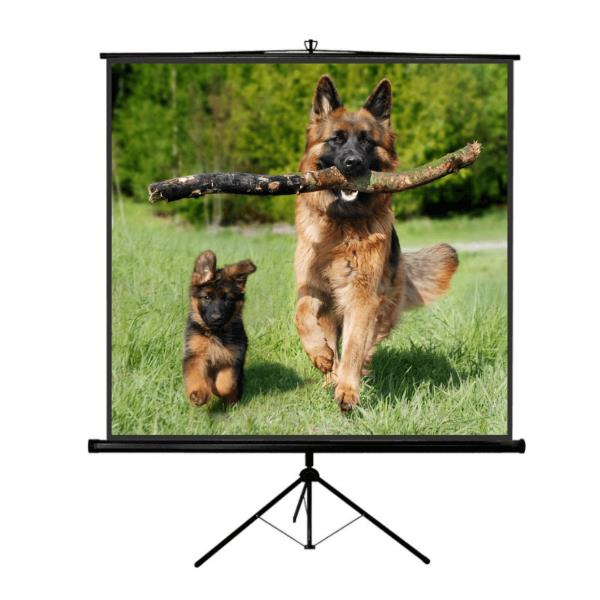 TELI PER VIDEOPROIETTORI - New Junior 160 X 160