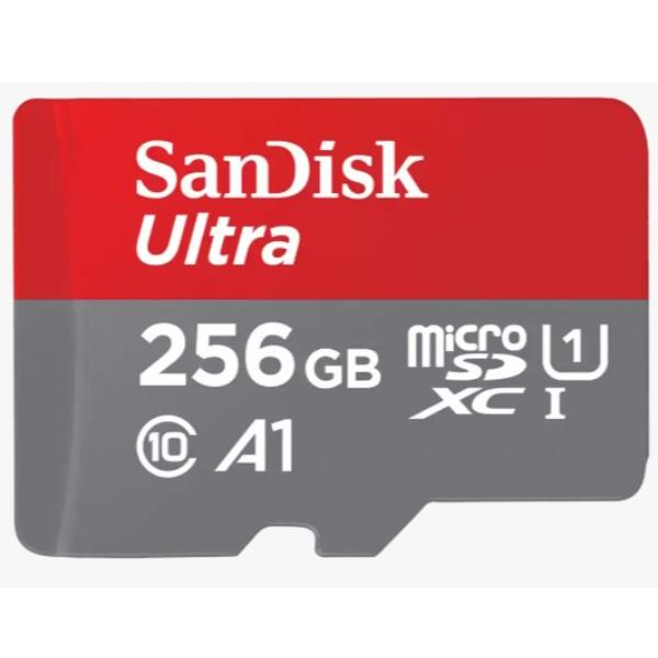 SDSQUAC-256G-GN