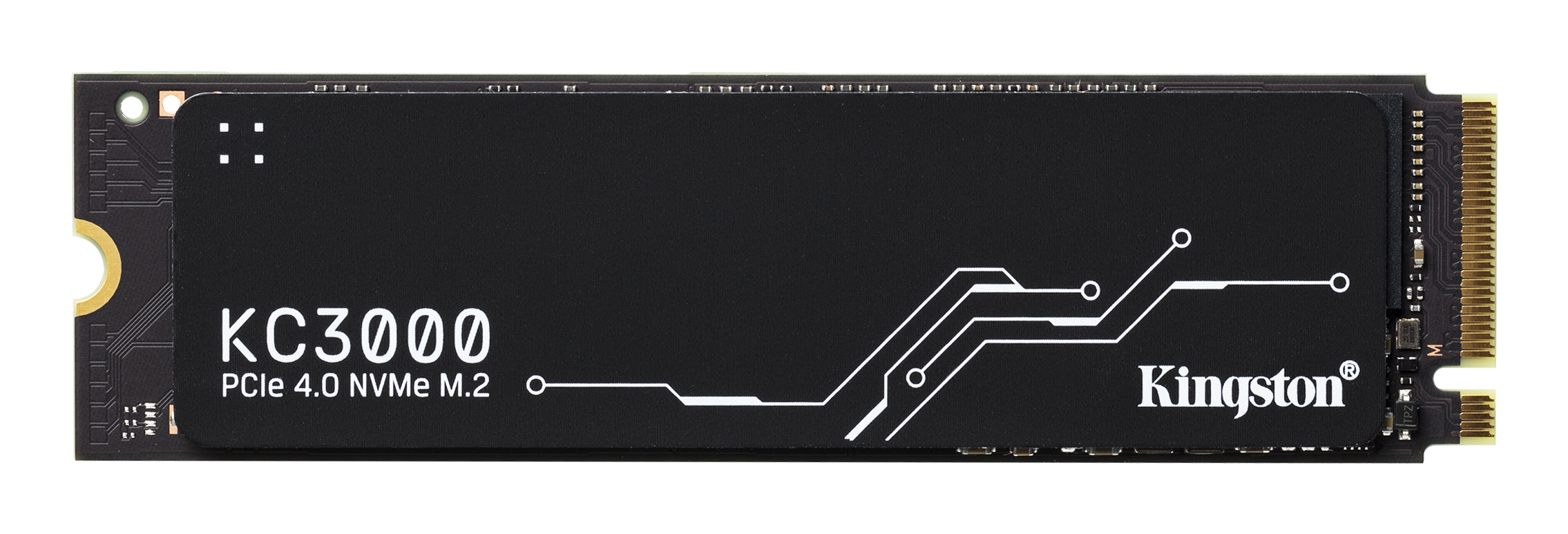 SKC3000S/1024G