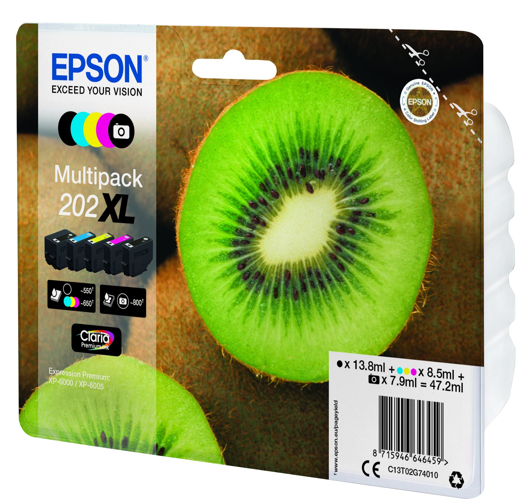 C13T02G74020