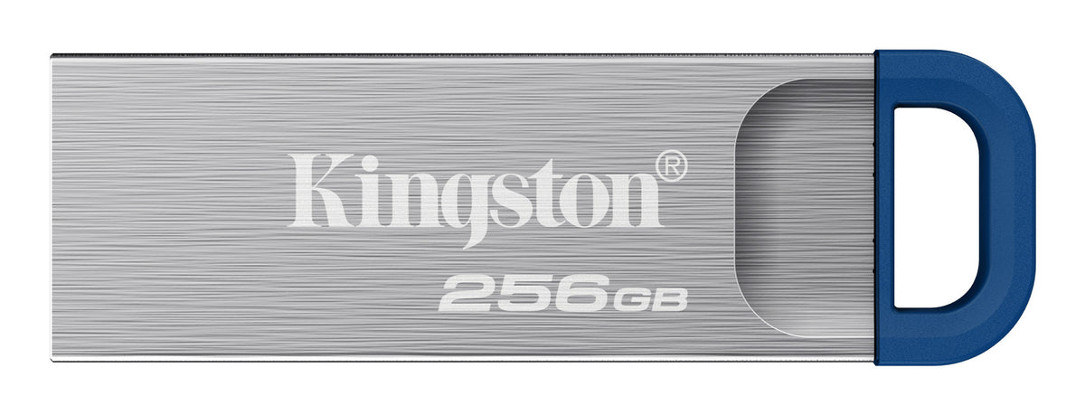 DTKNG2/256GB