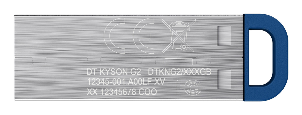 DTKNG2/64GB