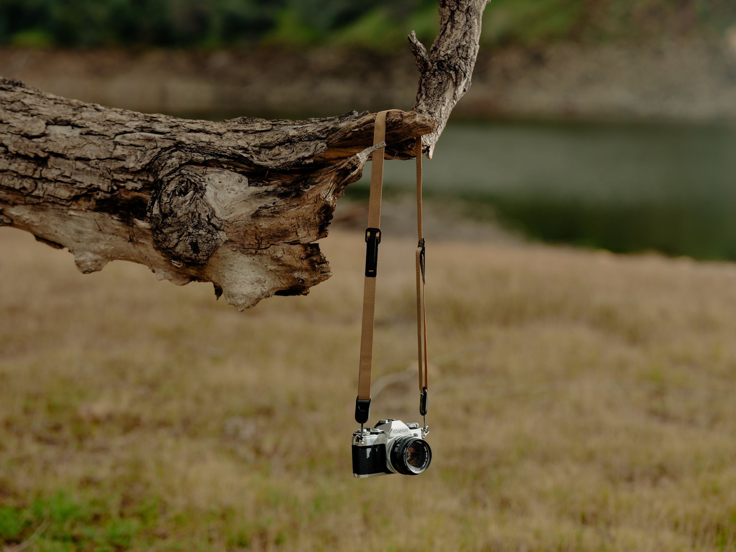 Leash - Coyote Edition - (Black Ancor) TRACOLLE in CORDURA e in PELLE
