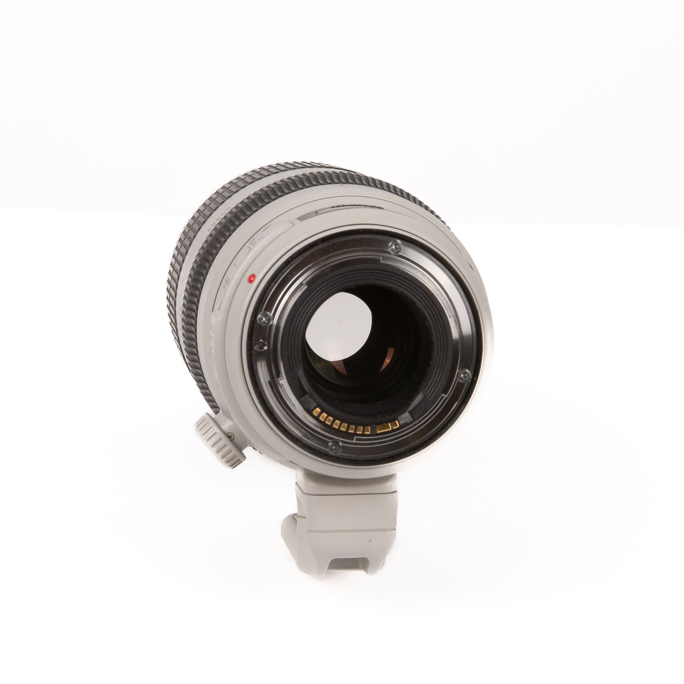 CANON EF 100-400mm f/4,5-5,6 L IS II USM