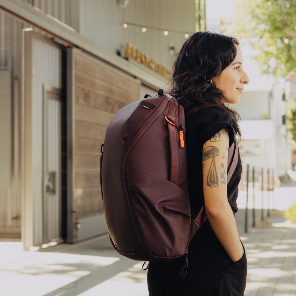 Everyday Backpack Zip 20L - Eclipse