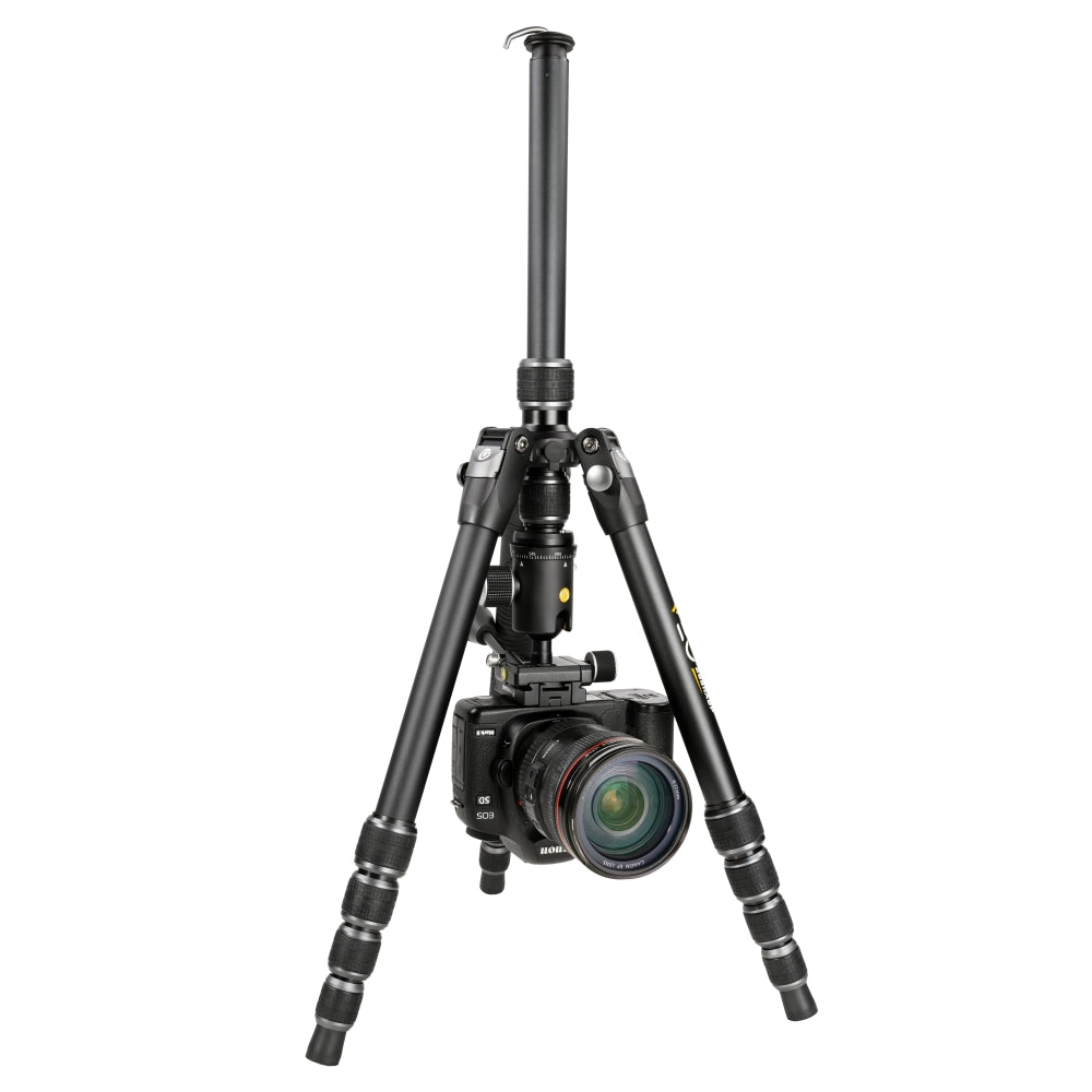 VEO3T204ABP