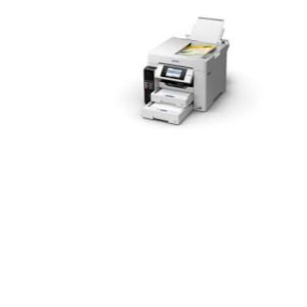 C11CJ28405