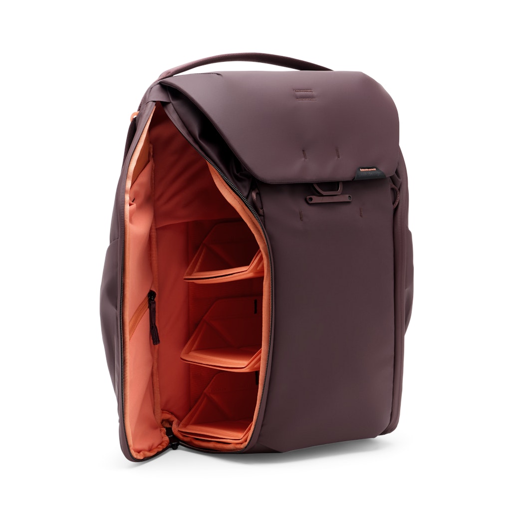 Everyday Backpack 20L - Eclipse (rosso scuro)