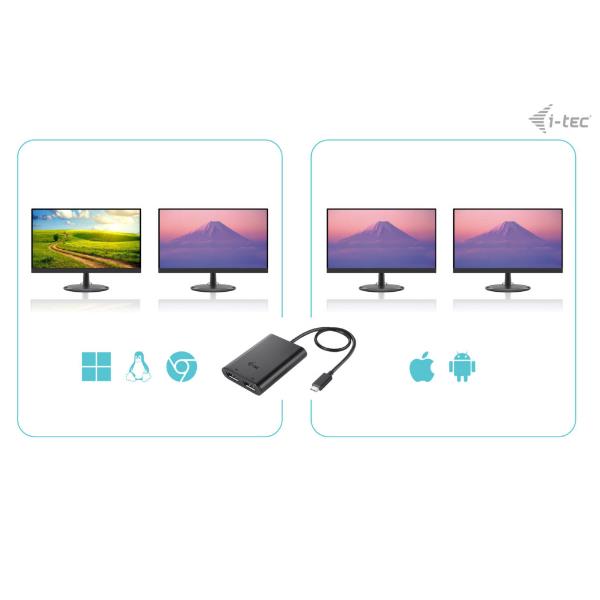 C31DUAL4K60DP