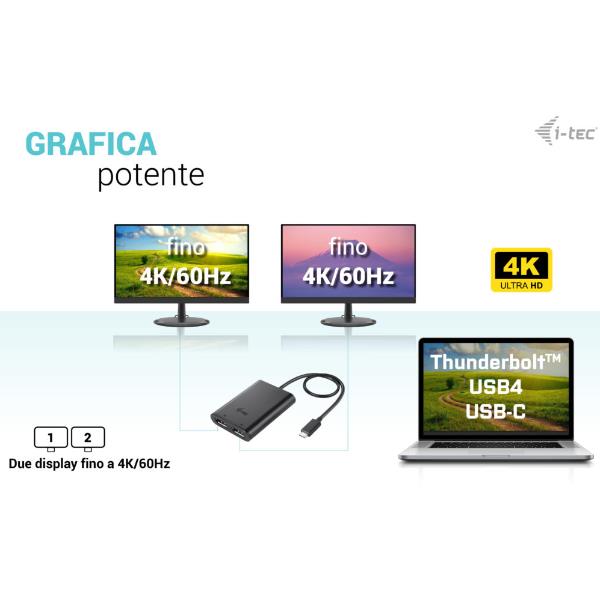 C31DUAL4K60DP