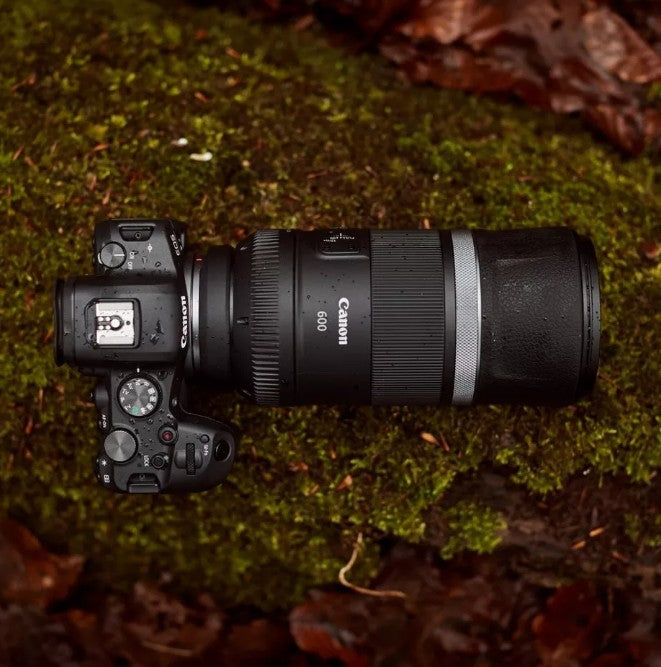 Canon RF 600mm F11 IS STM