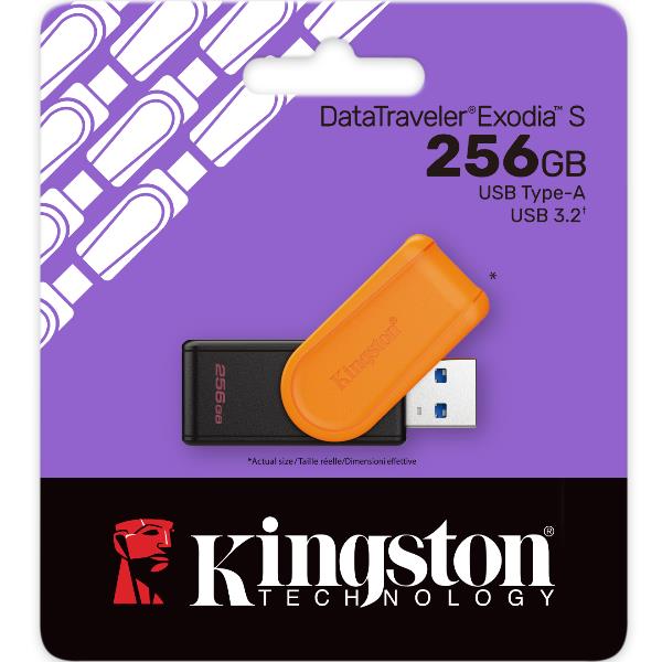 DTXS/256GB