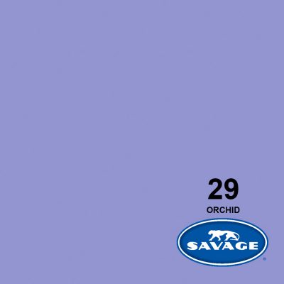 SVG29-1253