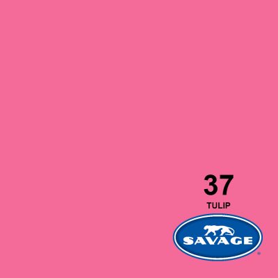 SVG37-12