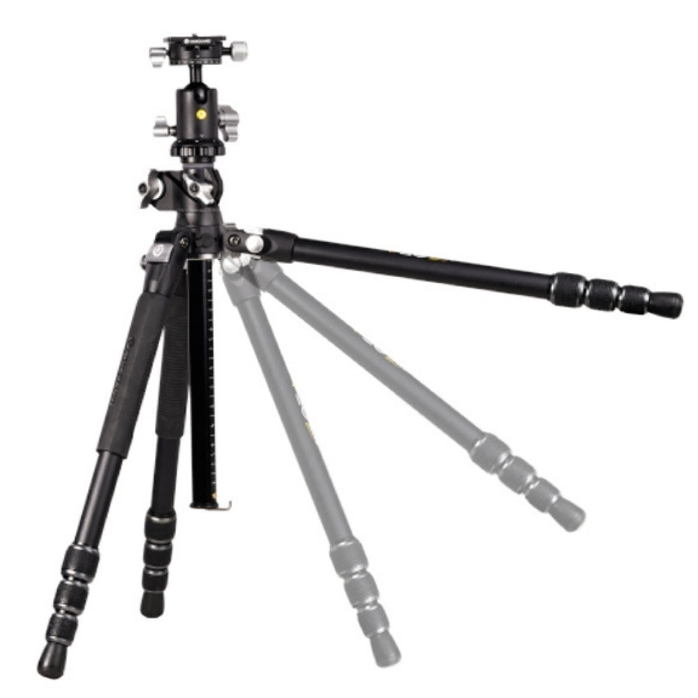 VEO3T+234AB