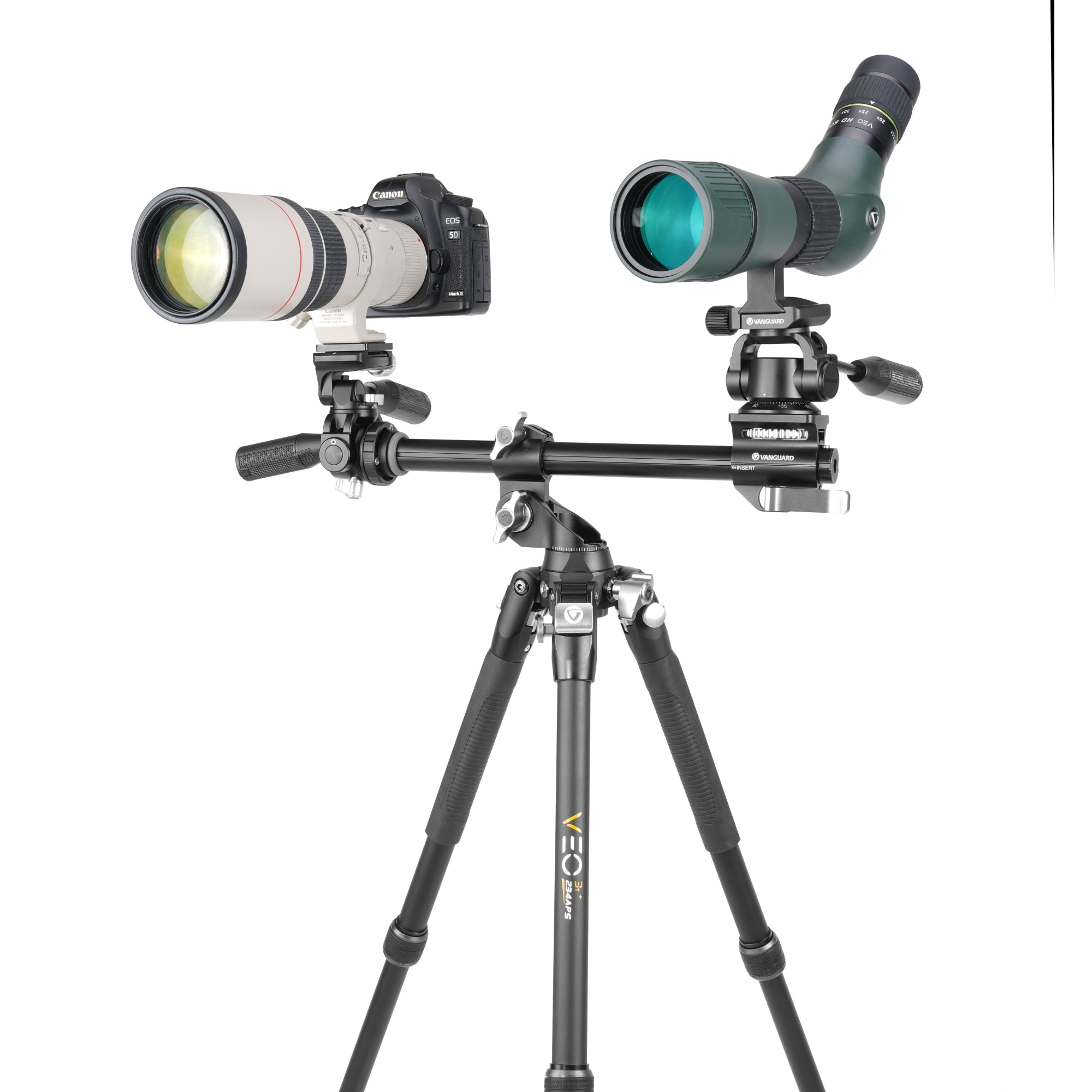 VEO3T+234APS