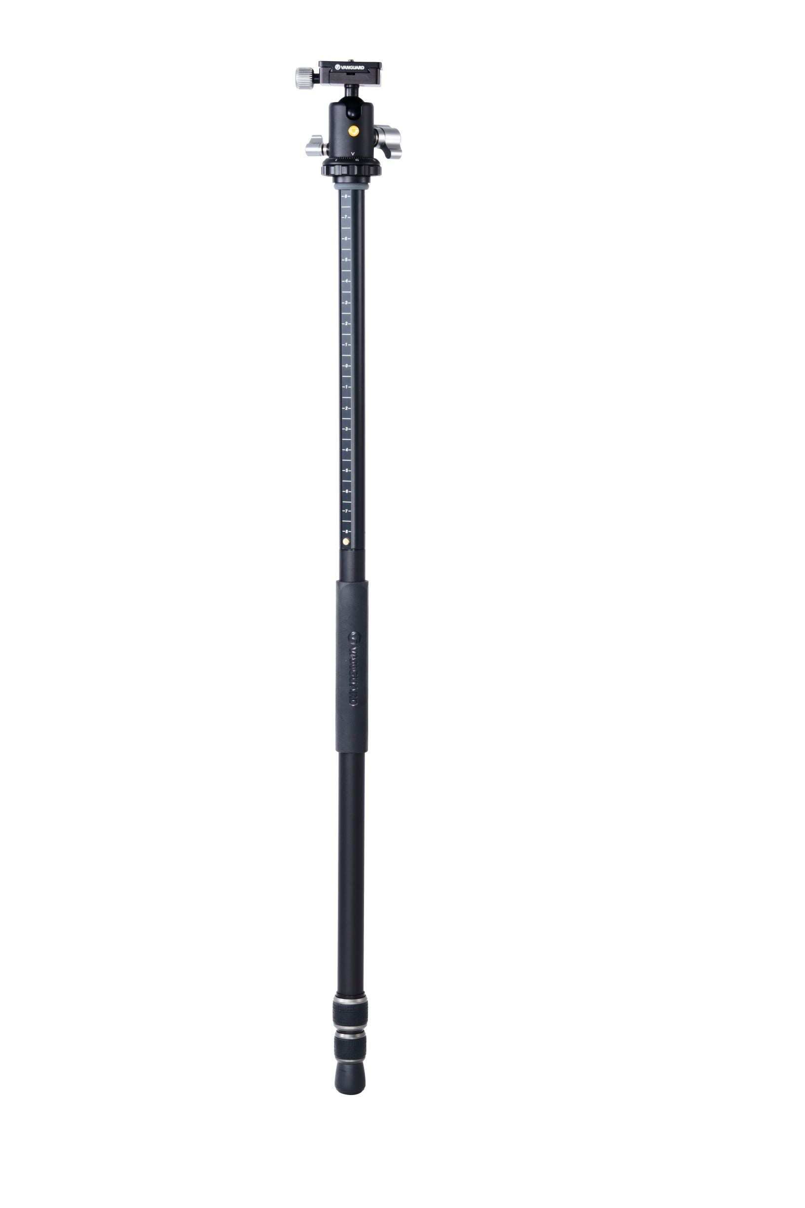 VEO3+263AB