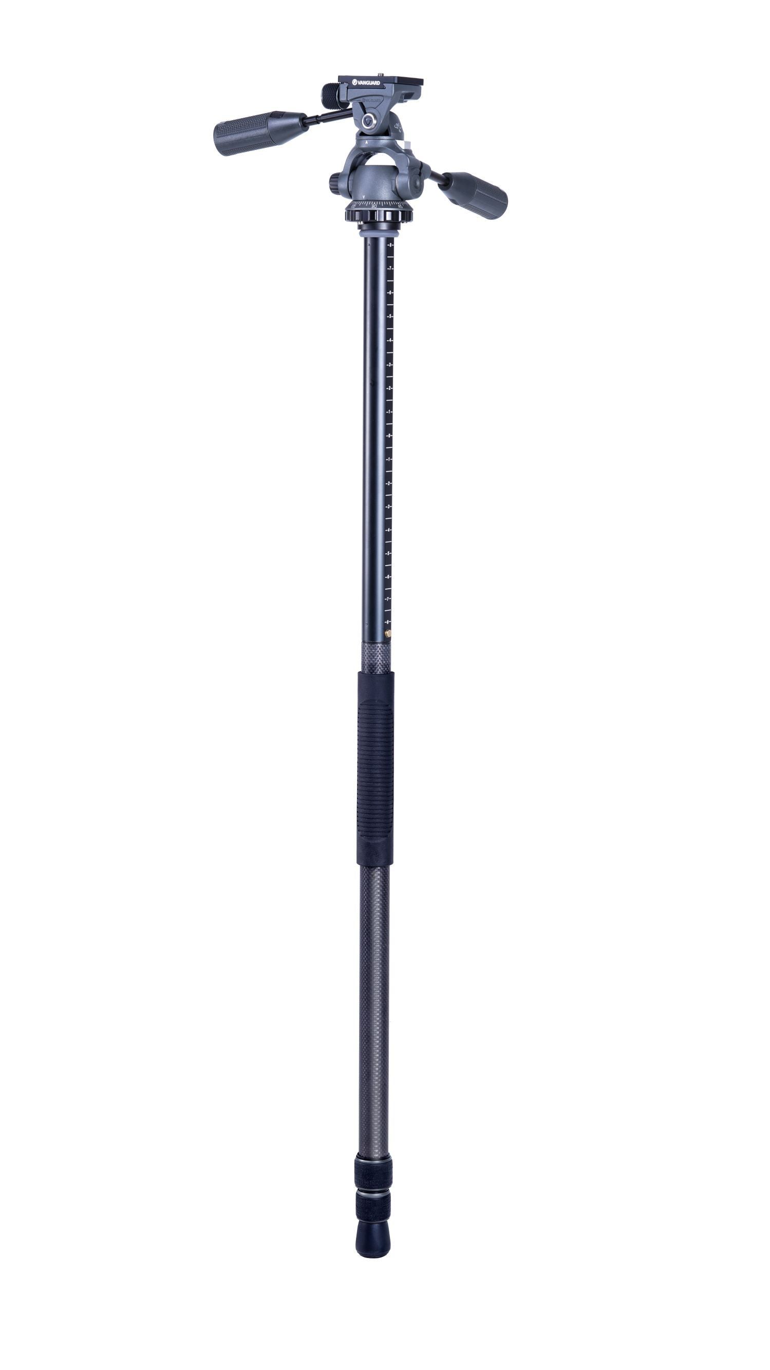 VEO3+263CP