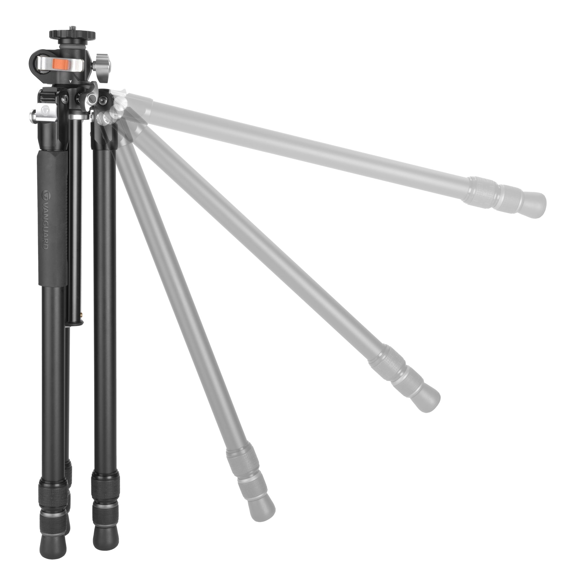 VEO3+303AT