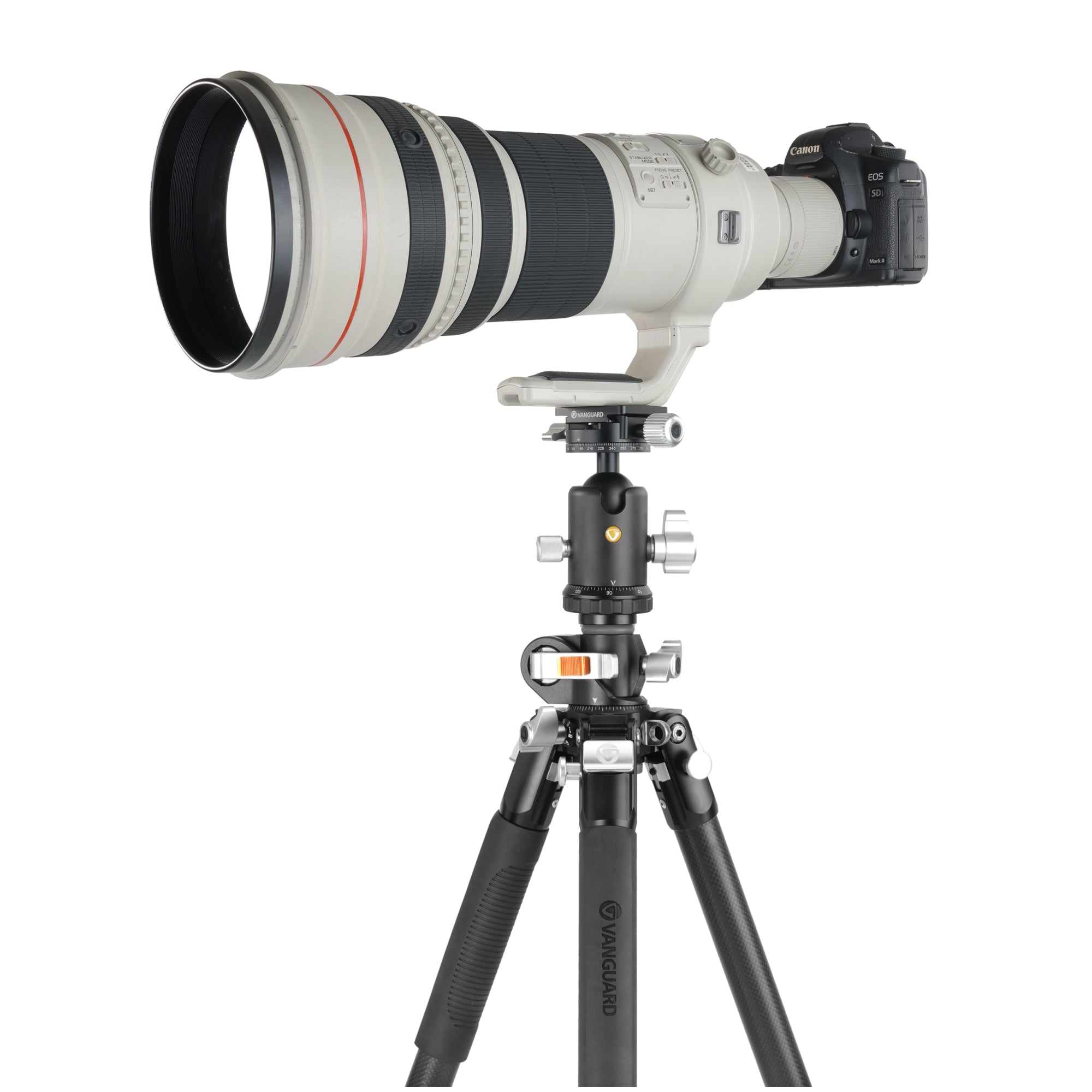 VEO3+303CBS