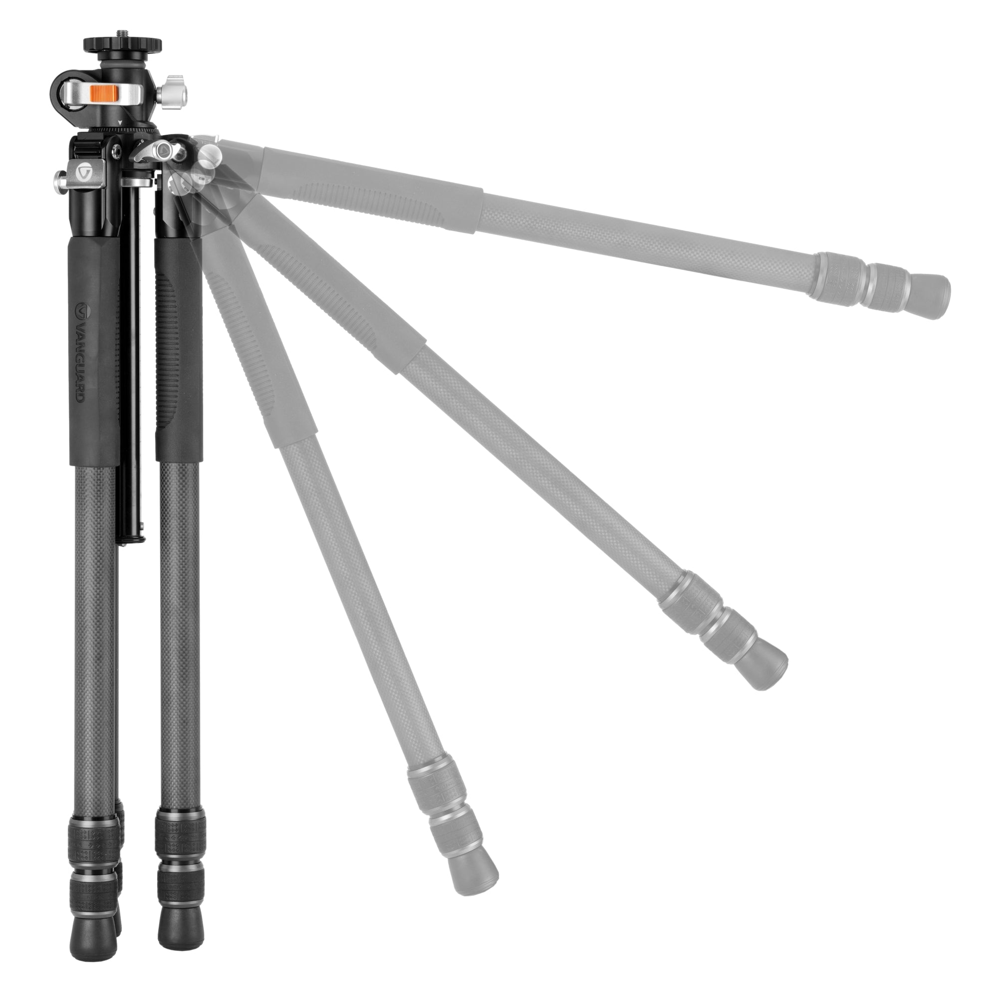 VEO3+303CT