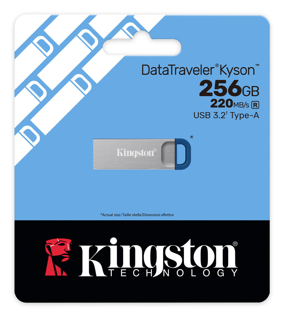 DTKNG2/256GB