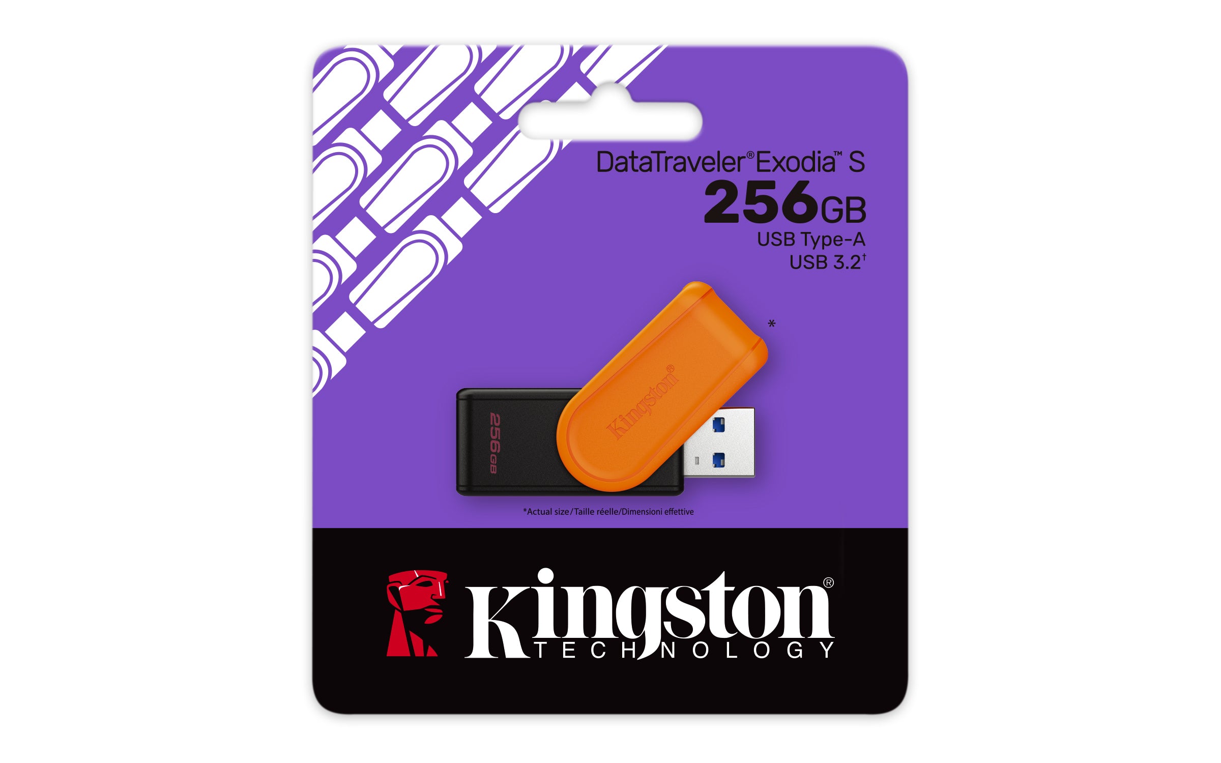 DTXS/256GB