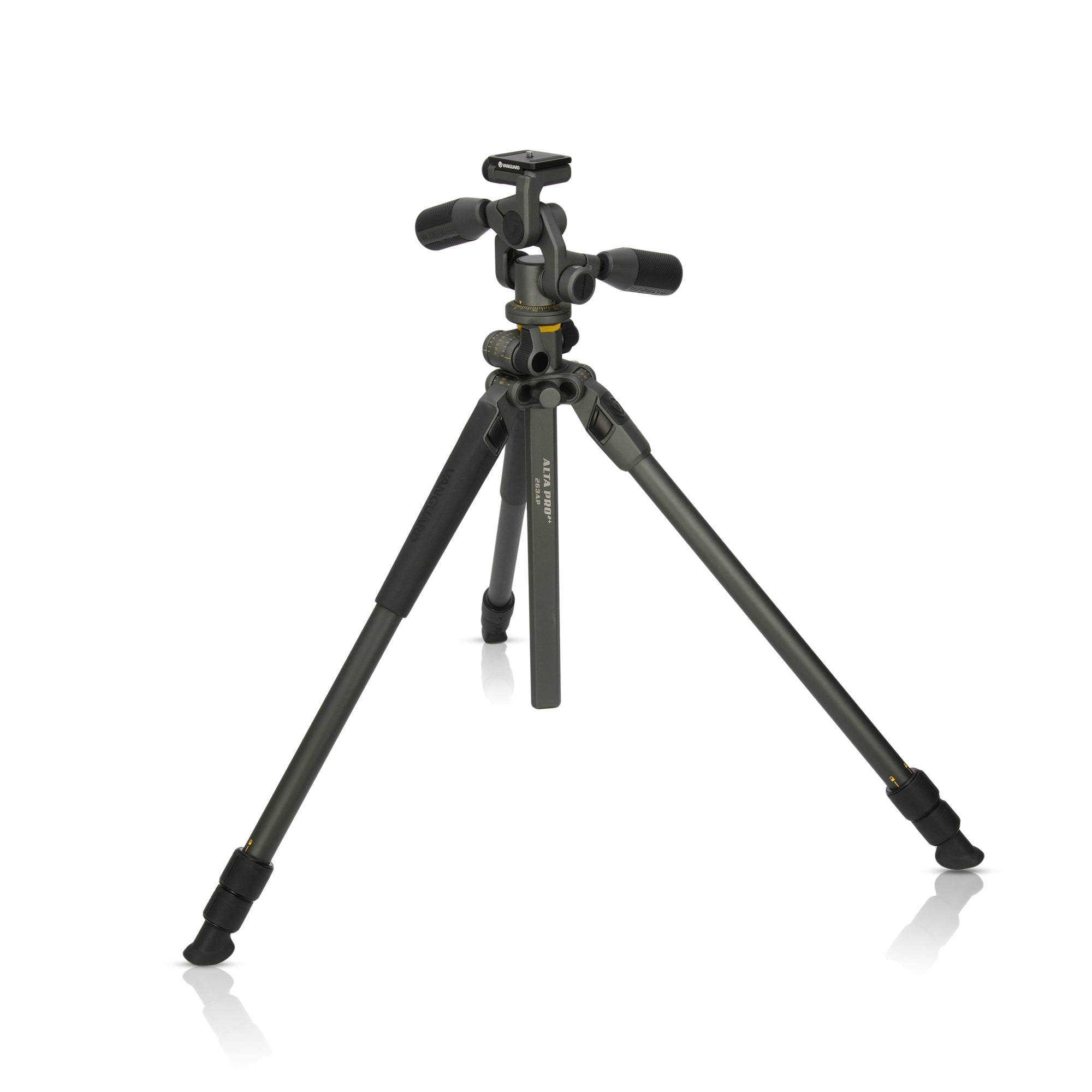 ALTAPRO2+263AP