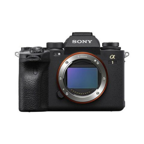 Mirrorless Sony