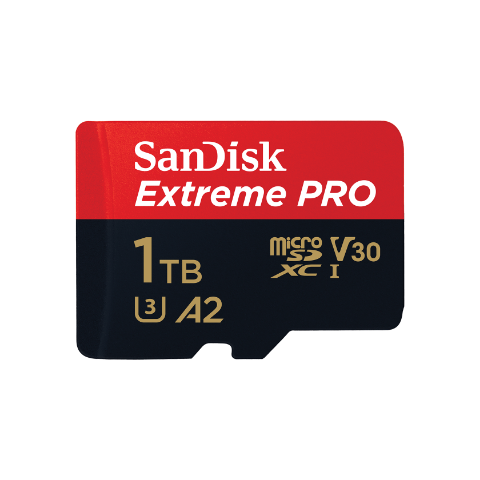 Schede di Memoria - Micro SD