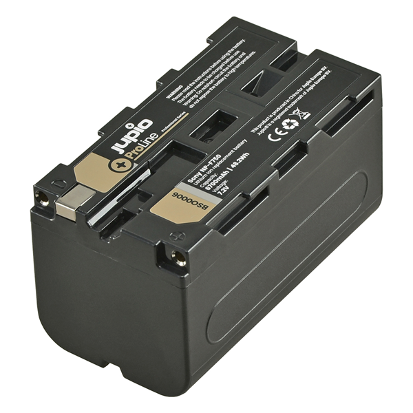 Batterie per Videocamere