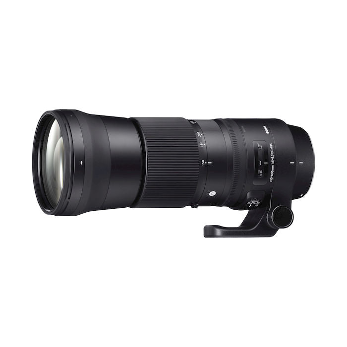 Sigma 150-600mm-F/5-6.3 (S) DG OS HSM AF Per Nikon AF