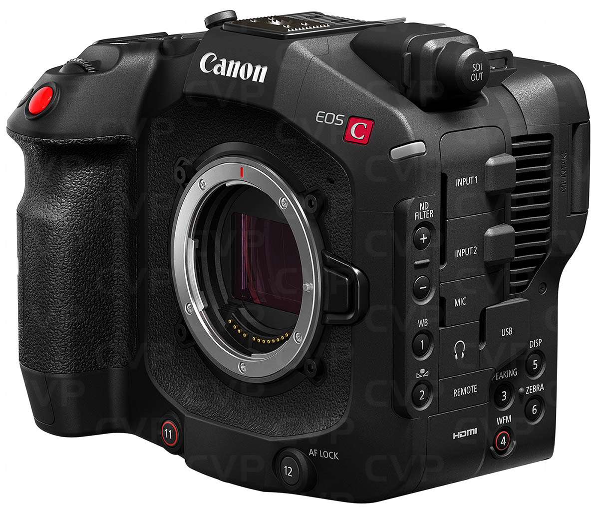 Canon EOS C80