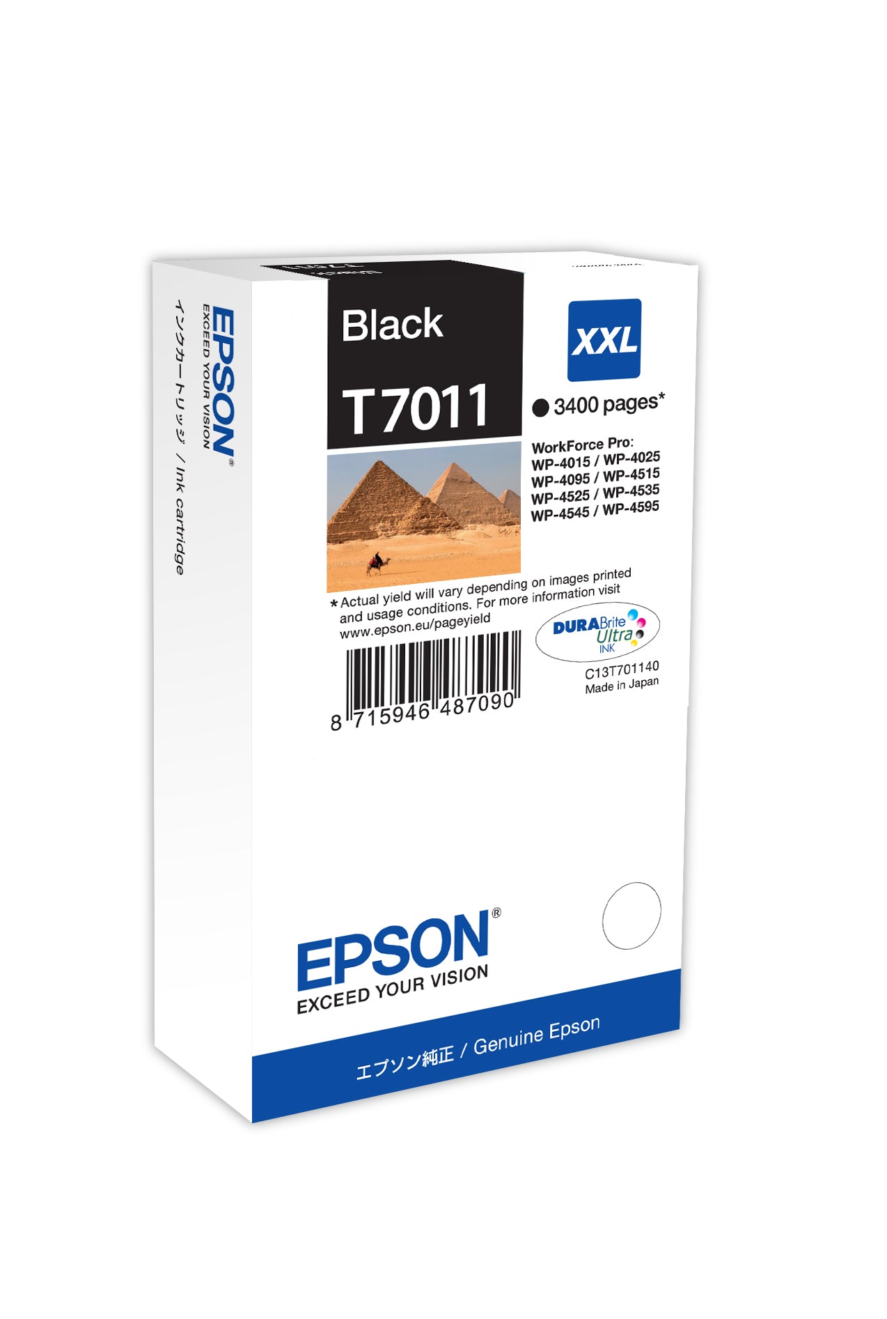 C13T70114010