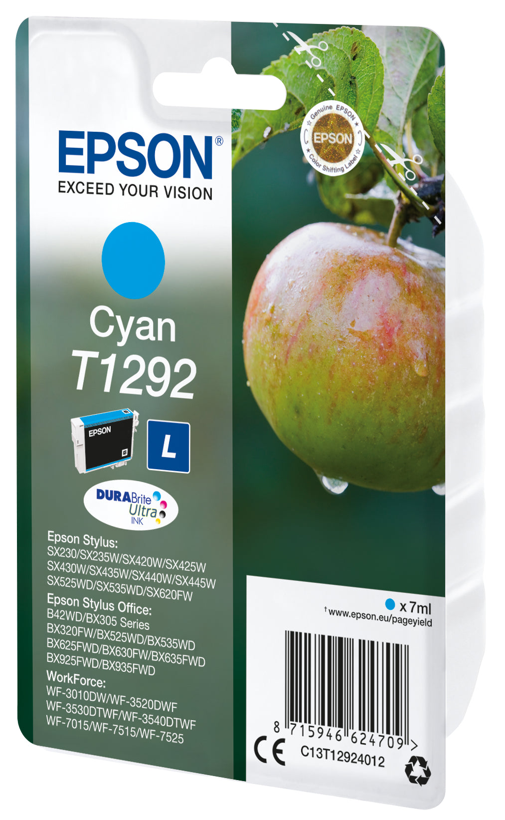 C13T12924022