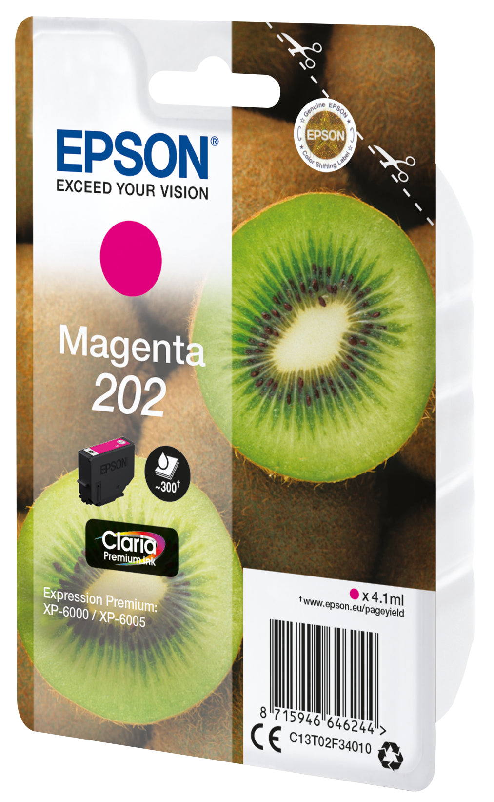 C13T02F34020