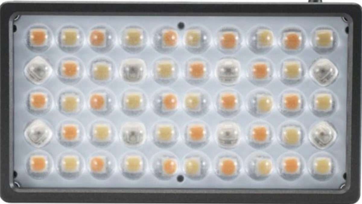 Litolite 5C RGBWW Pocket LED
