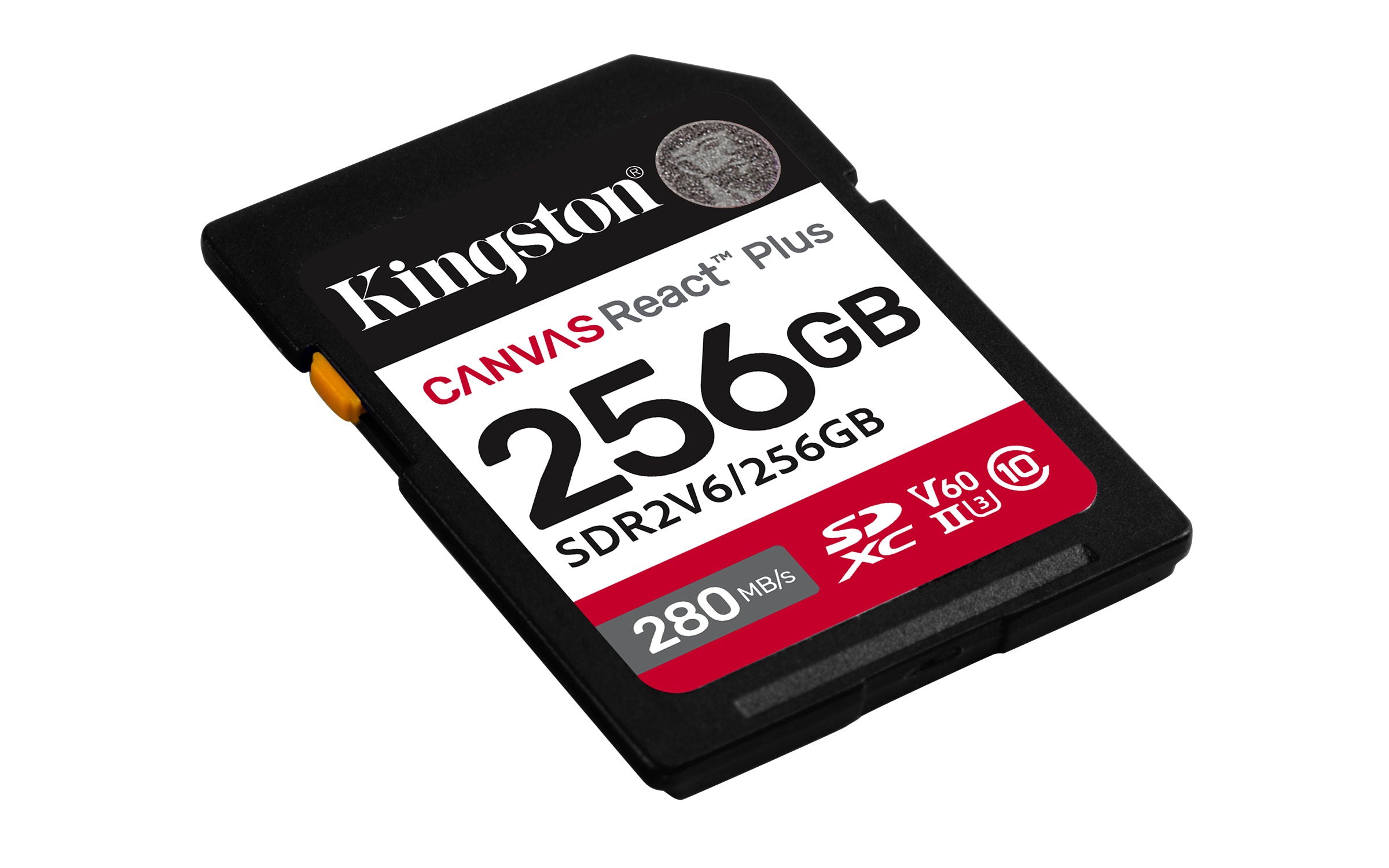 SDR2V6/256GB