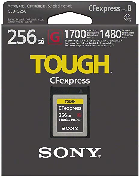 CFexpress G Type B Card 256GB