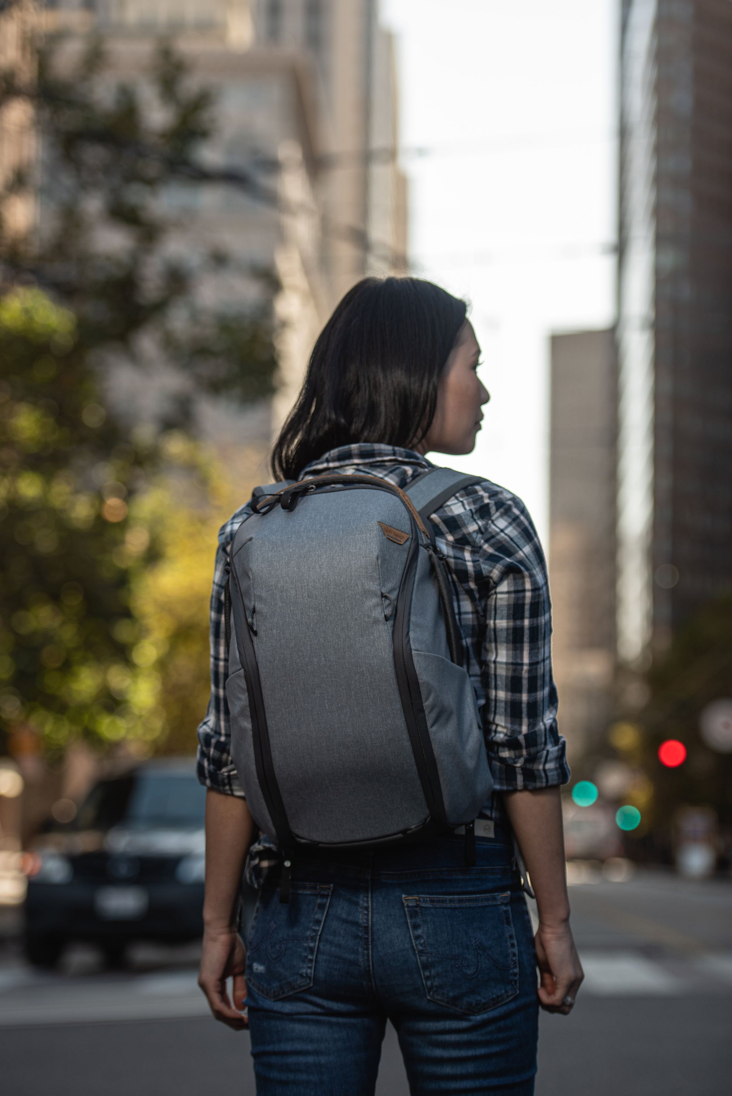 Everyday Backpack 15L Zip v2 // Ash -grigio chiaro