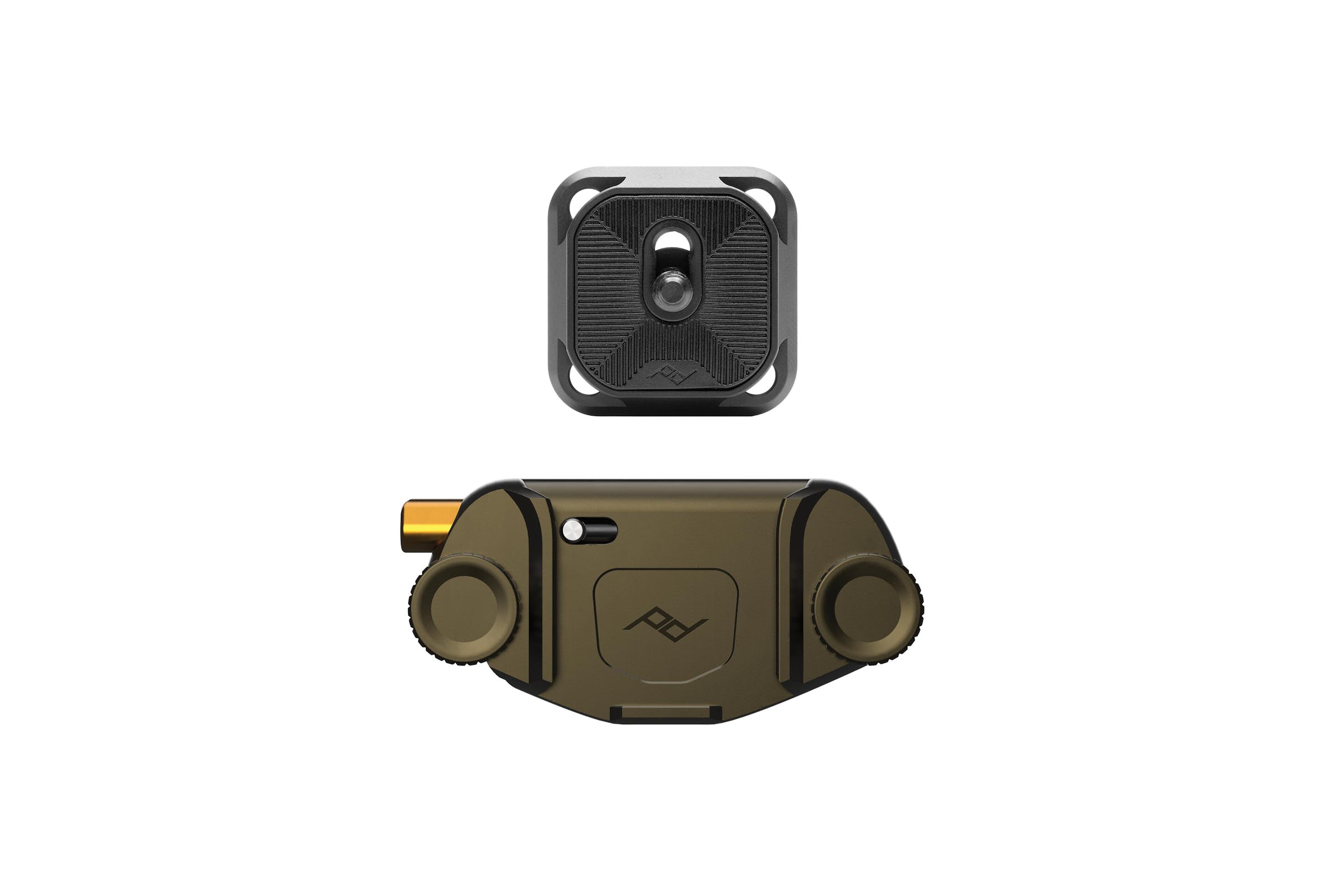 Captur Kelp (Bronzo)- with Standard plate®
