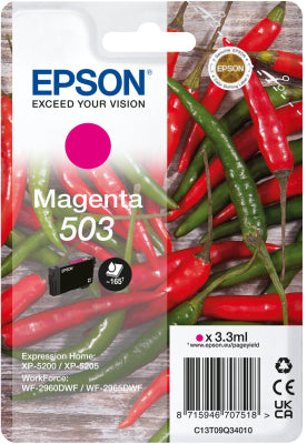 C13T09Q34020
