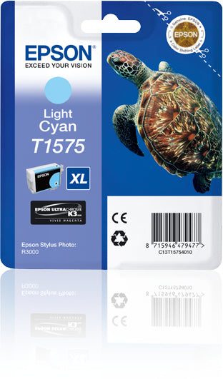 C13T15754010