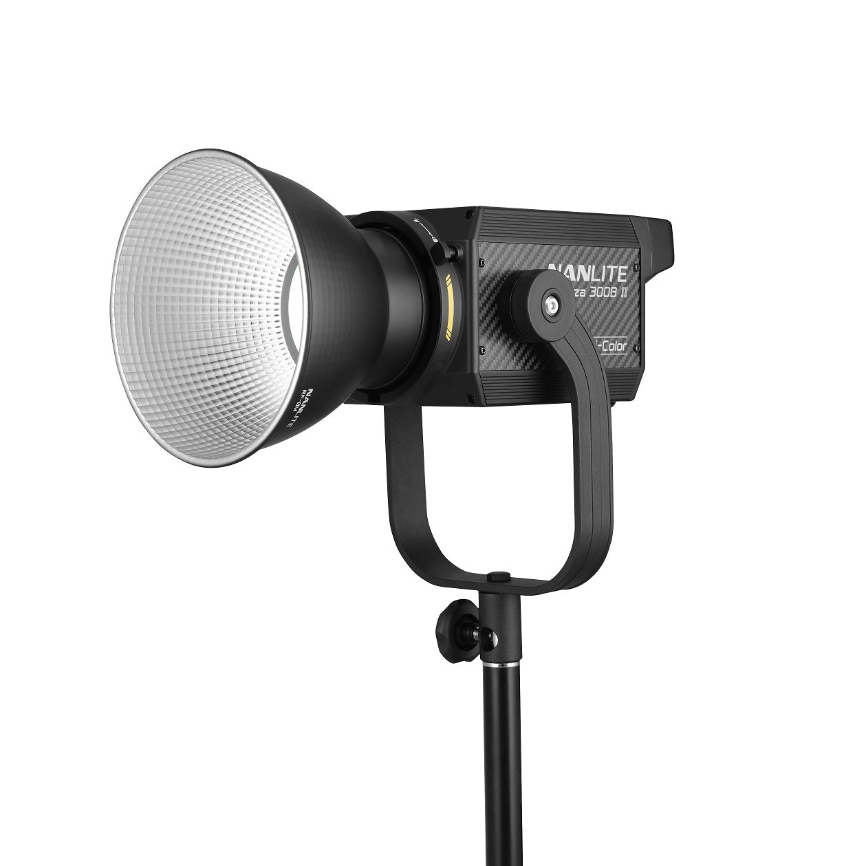 31-2010