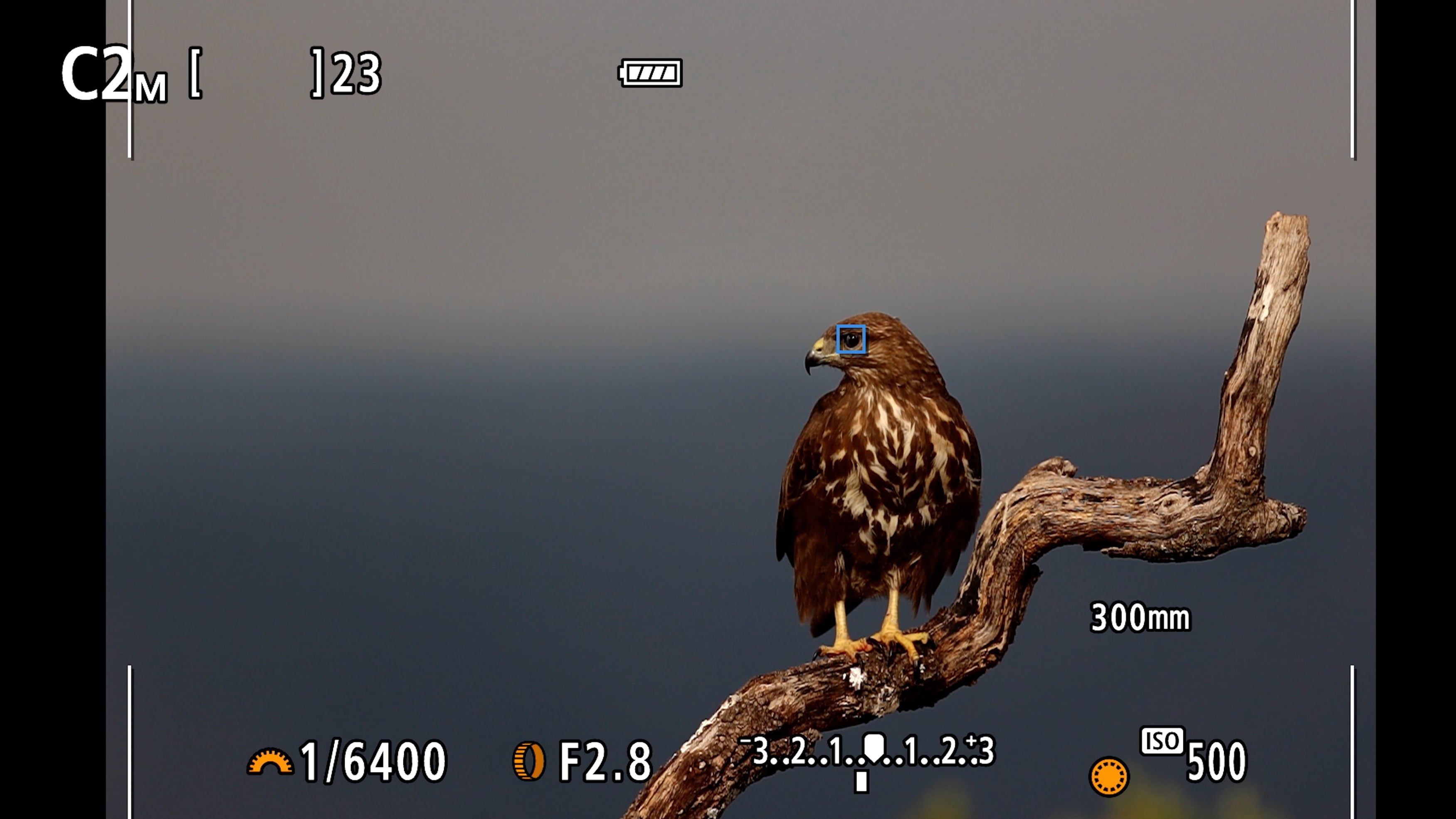 Canon EOS R7 + RF-S 18-150mm F3.5-6.3 IS STM + EF- R MILC 32,5 MP CMOS 6960 x 4640 Pixel Nero