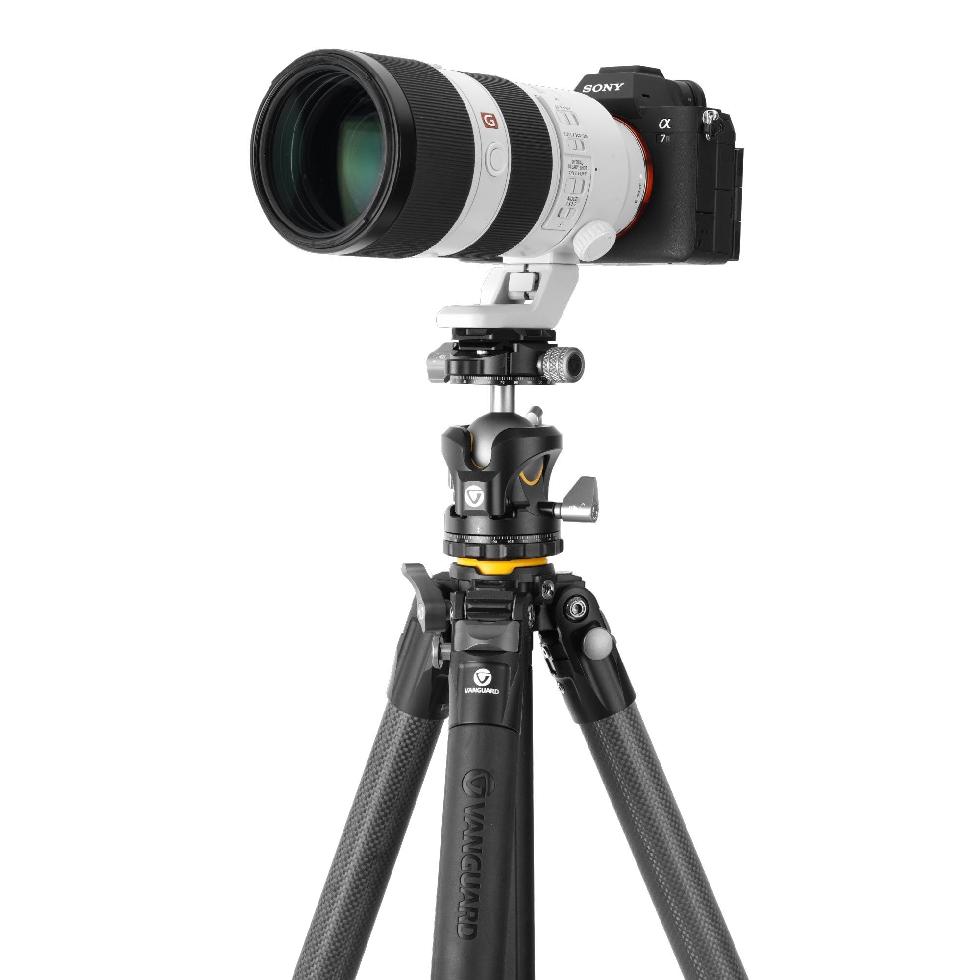 ALTAPRO3303CLBPS