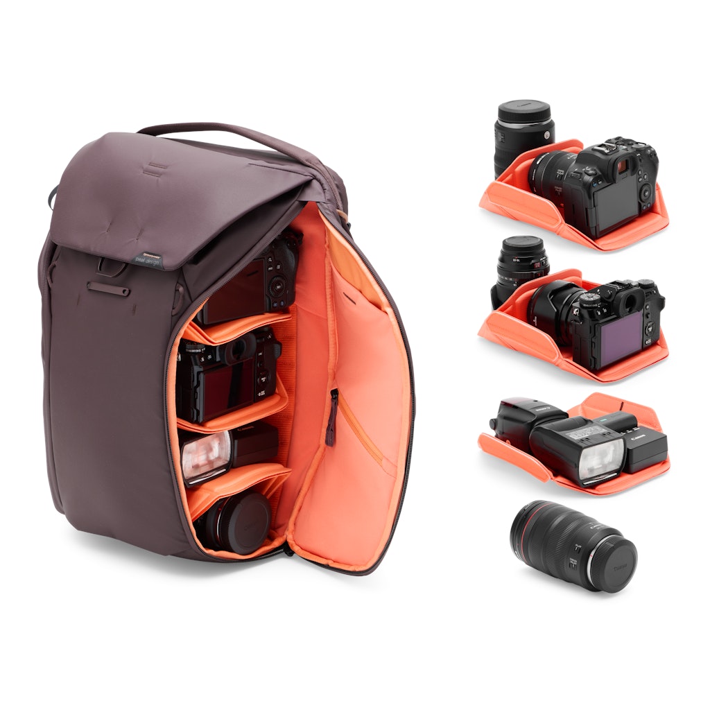 Everyday Backpack 20L - Eclipse (rosso scuro)