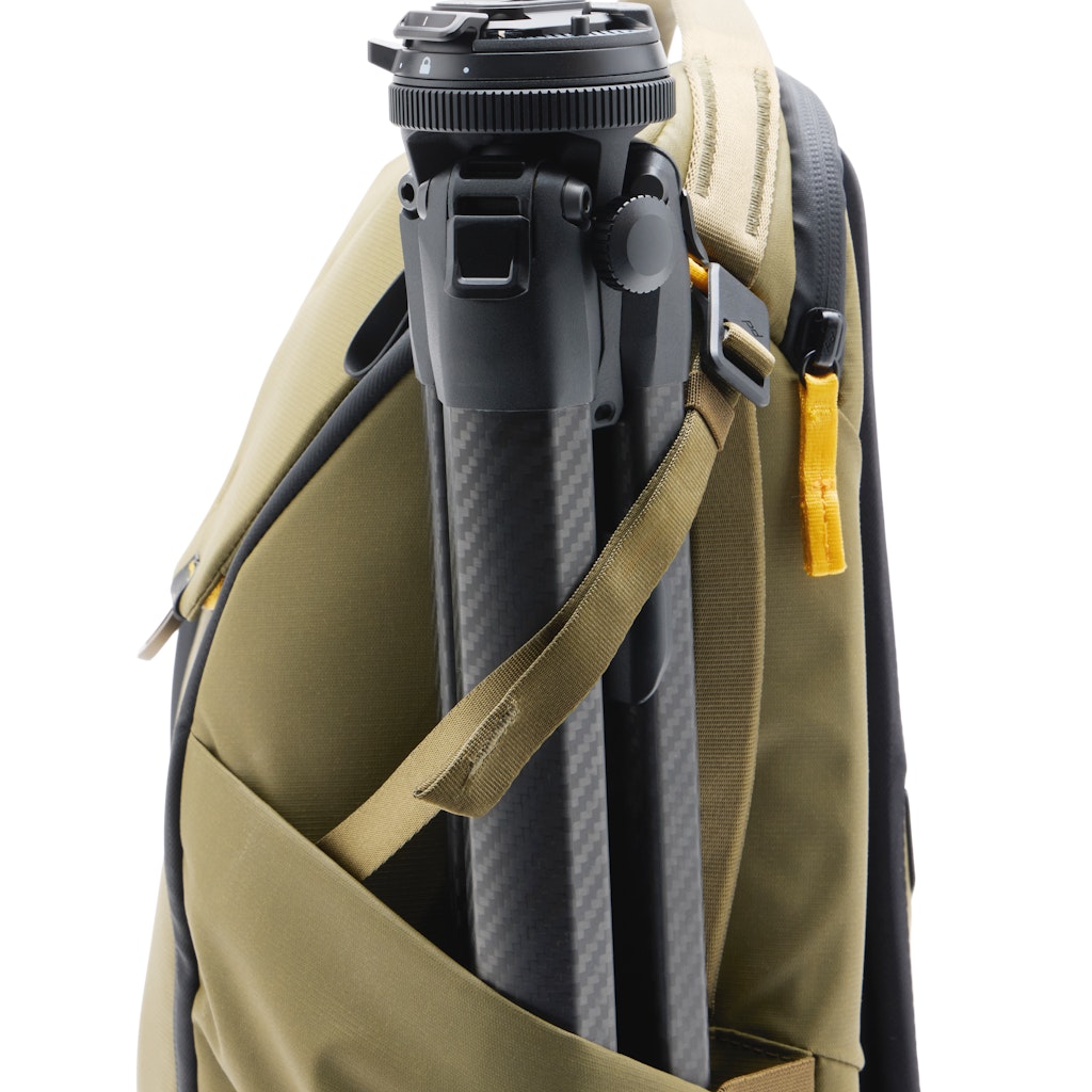 Everyday Backpack 20L - Kelp (Bronzo)