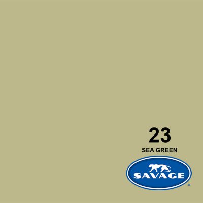 SVG23-12